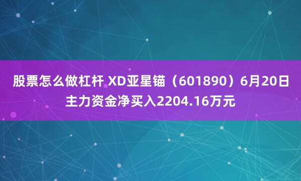 股票怎么做杠杆 XD亚星锚（601890）6月20日主力资金净买入2204.16万元