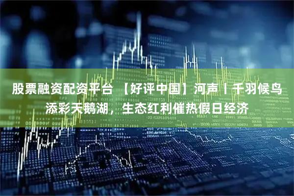 股票融资配资平台 【好评中国】河声丨千羽候鸟添彩天鹅湖，生态红利催热假日经济